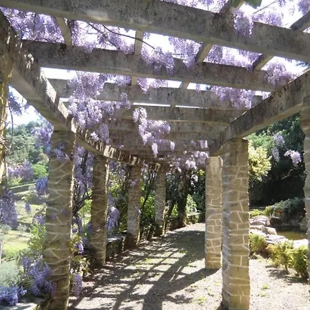 Апартаменты Quinta Das Aveleiras - With 3 In Douro, With Wonderful Mountain V...