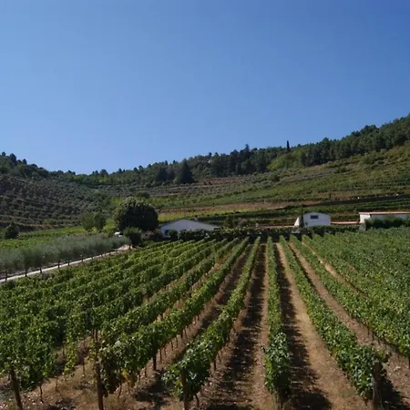 Quinta Das Aveleiras - With 3 In Douro, With Wonderful Mountain V... Апартаменты *