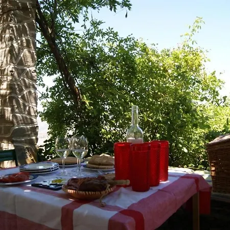 Quinta Das Aveleiras - With 3 In Douro, With Wonderful Mountain V... Апартаменты Торри-ди-Монкорву