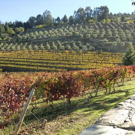 Quinta Das Aveleiras - With 3 In Douro, With Wonderful Mountain V... Апартаменты Торри-ди-Монкорву