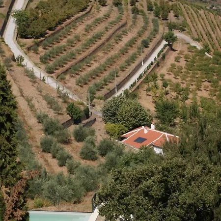 Quinta Das Aveleiras - With 3 In Douro, With Wonderful Mountain V... Апартаменты Торри-ди-Монкорву
