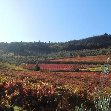 Quinta Das Aveleiras - With 3 In Douro, With Wonderful Mountain V... Апартаменты *