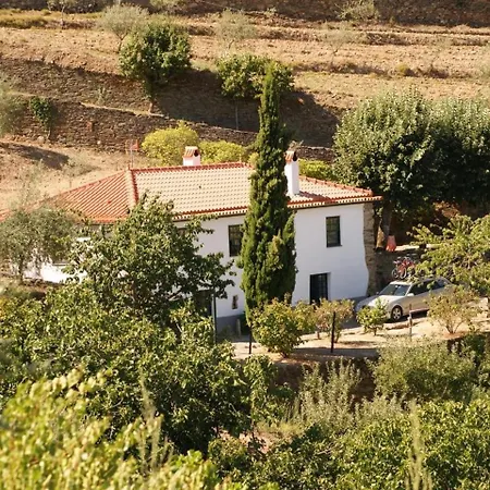 Quinta Das Aveleiras - With 3 In Douro, With Wonderful Mountain V... Апартаменты